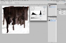 Adobe Illustrator tutorial Transparent background