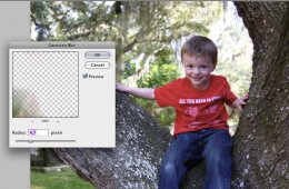 Photoshop Blurring background