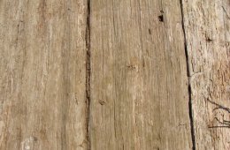 Wood Textures for Photoshop