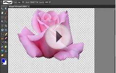 How to Remove Background With Photoshop Elements